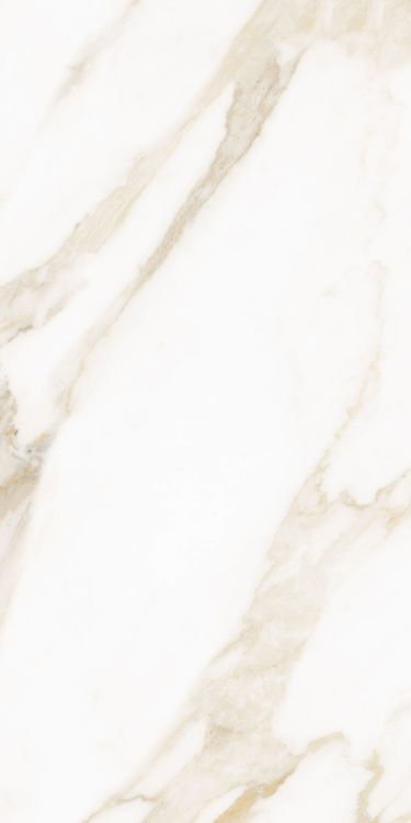 Classy Warm White Matte 12 x 24
